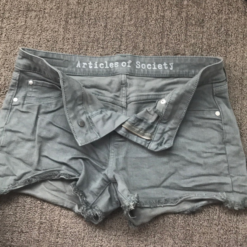 Articles of society shorts